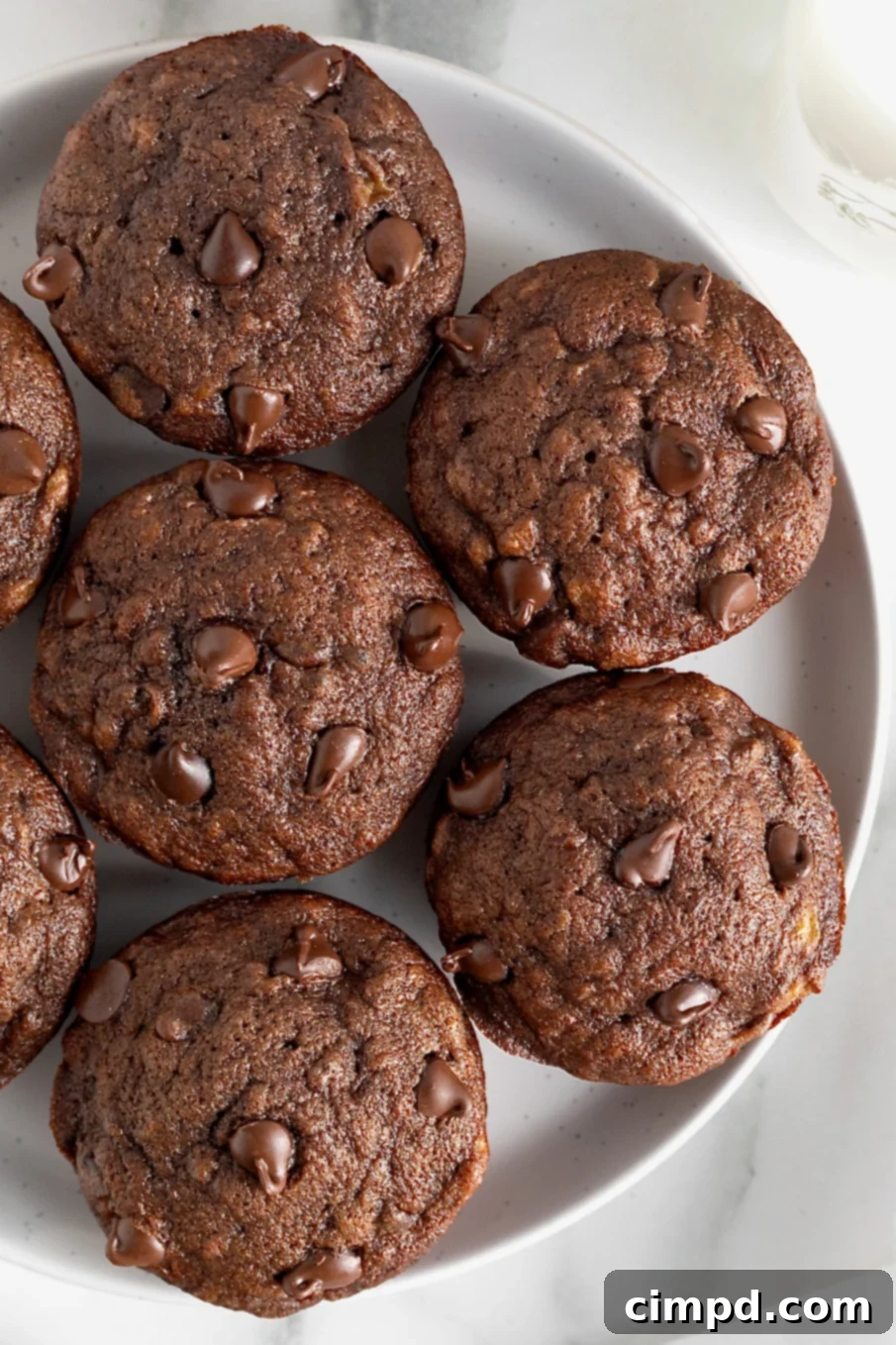 Chocolate Banana Dream Muffins 2 A white serving plate with seven chocolate banana muffins garnished with chocolate chips, ready to be enjoyed.