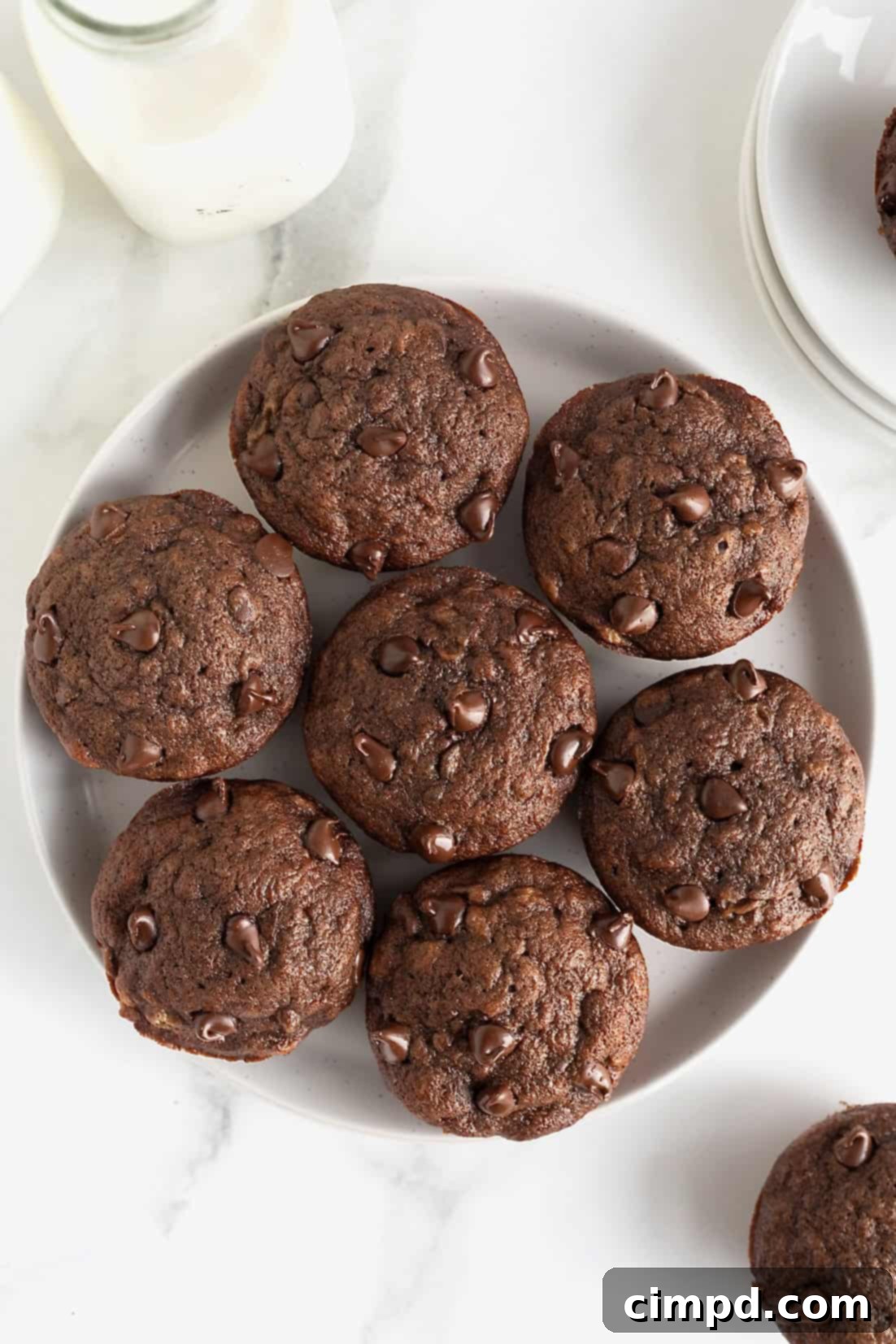 Chocolate Banana Dream Muffins 4 A pristine white serving plate showcases seven beautifully baked chocolate banana muffins, each adorned with extra chocolate chips for an inviting finish.