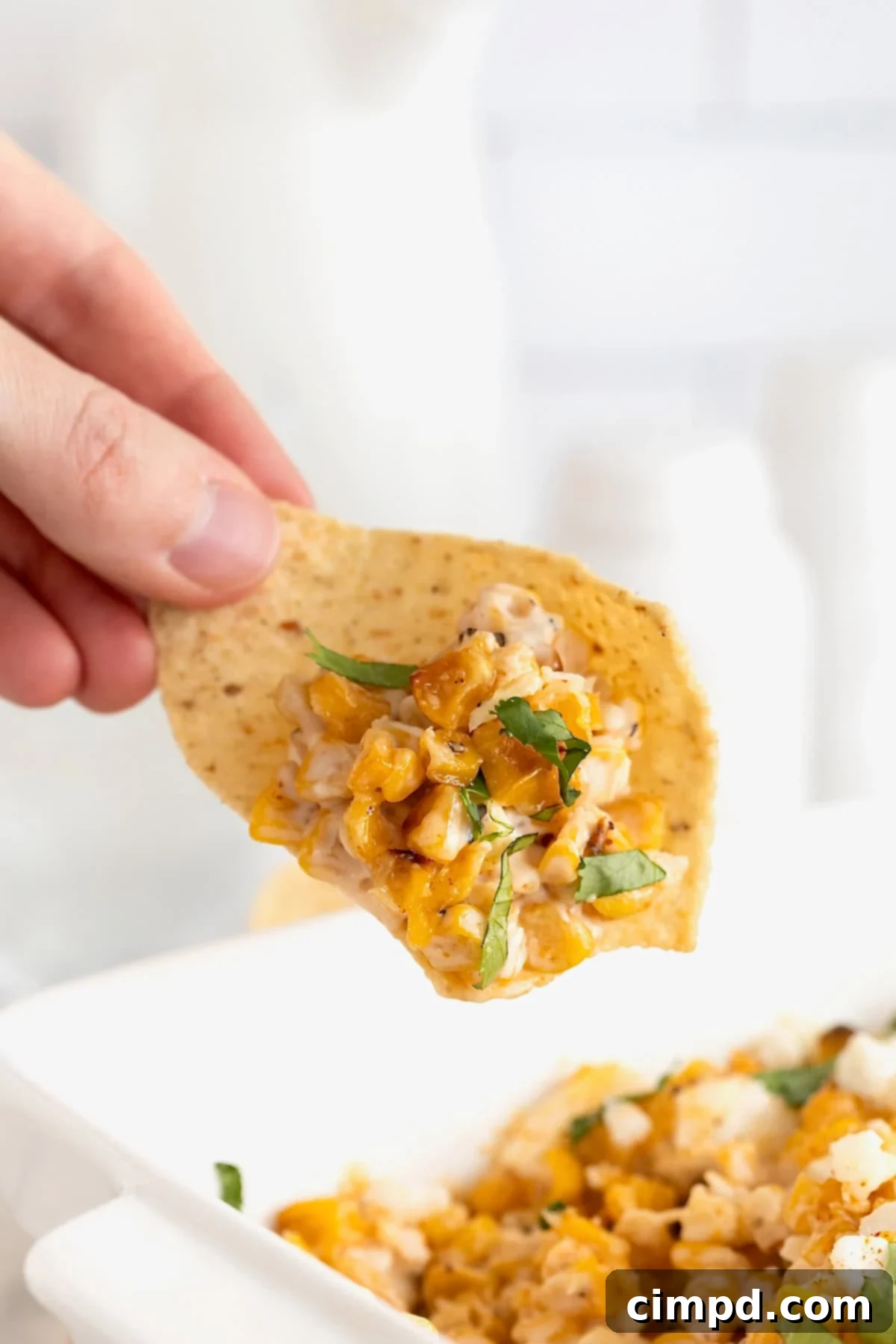 A single tortilla chip generously scooped with creamy roasted corn elotes dip, highlighting its texture and toppings.