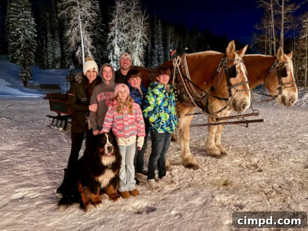 The Brown Family enjoying a picturesque horse-drawn sleigh ride through a snowy landscape.