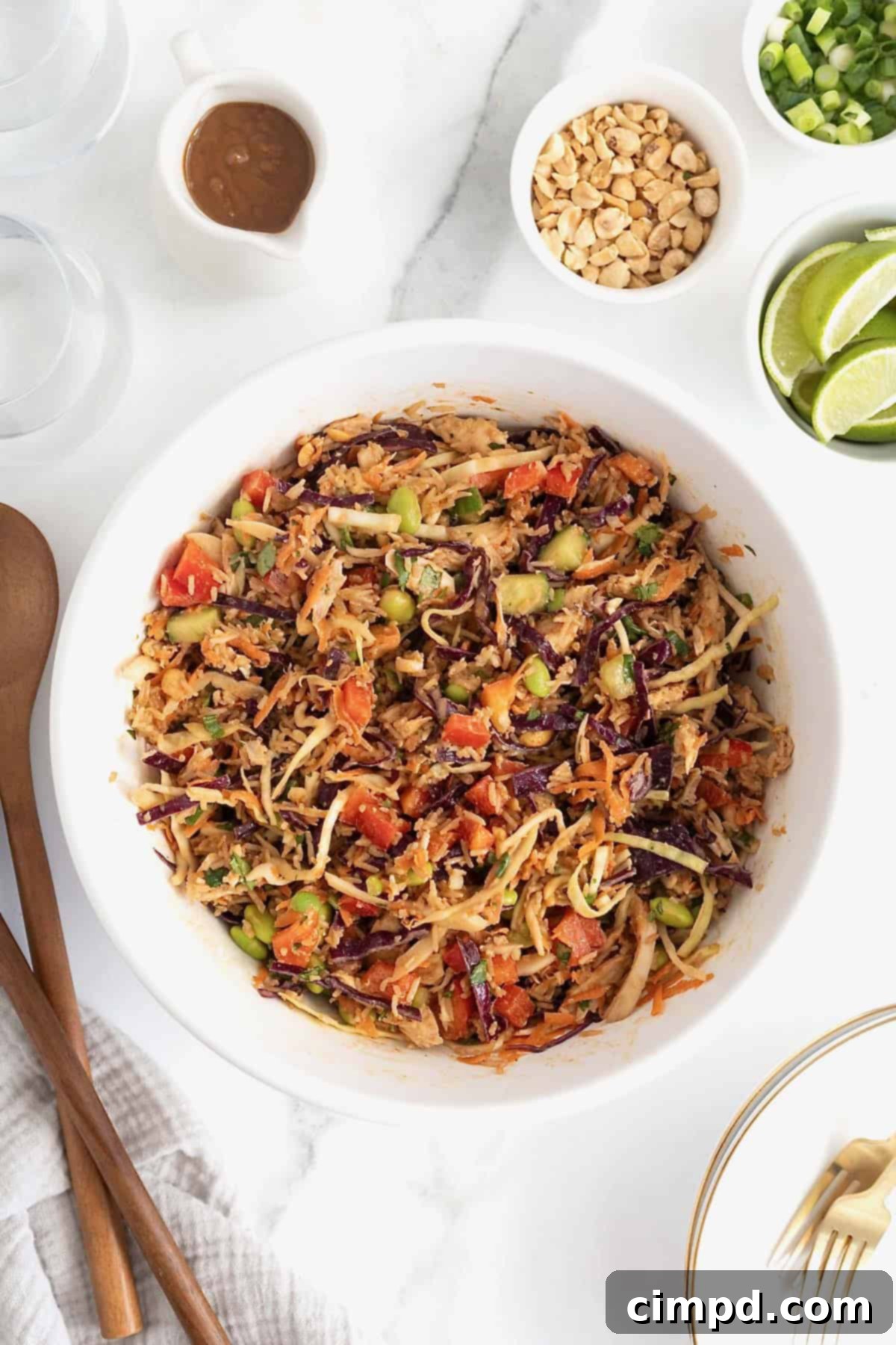 A large white bowl of crispy rice chicken salad.
