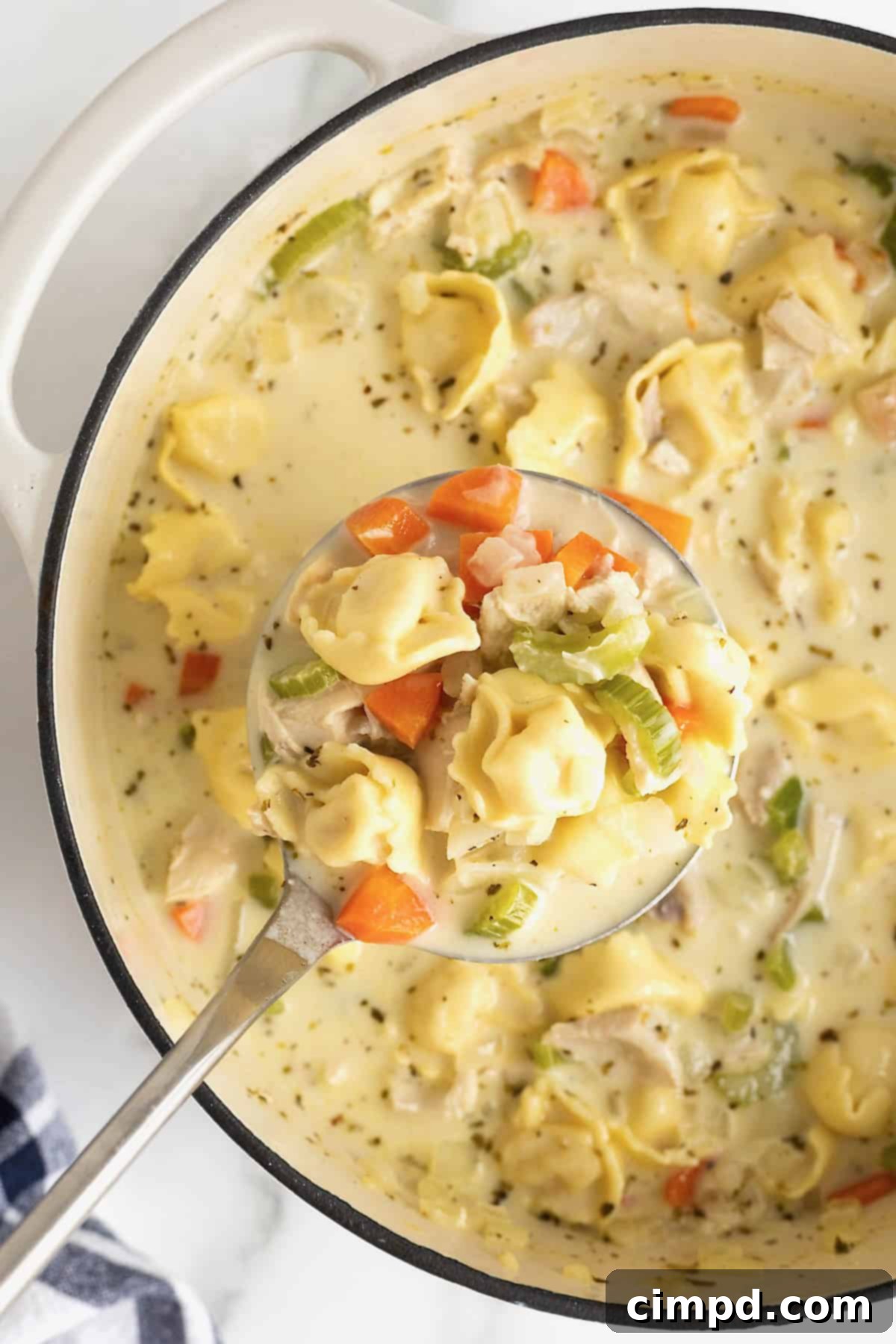 Homestyle Creamy Chicken Tortellini Soup 2 A white Dutch oven of creamy soup with carrots, celery and tortellini pasta.