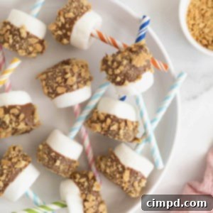 A white rimmed serving plate of chocolate covered marshmallows on brightly covered straws.
