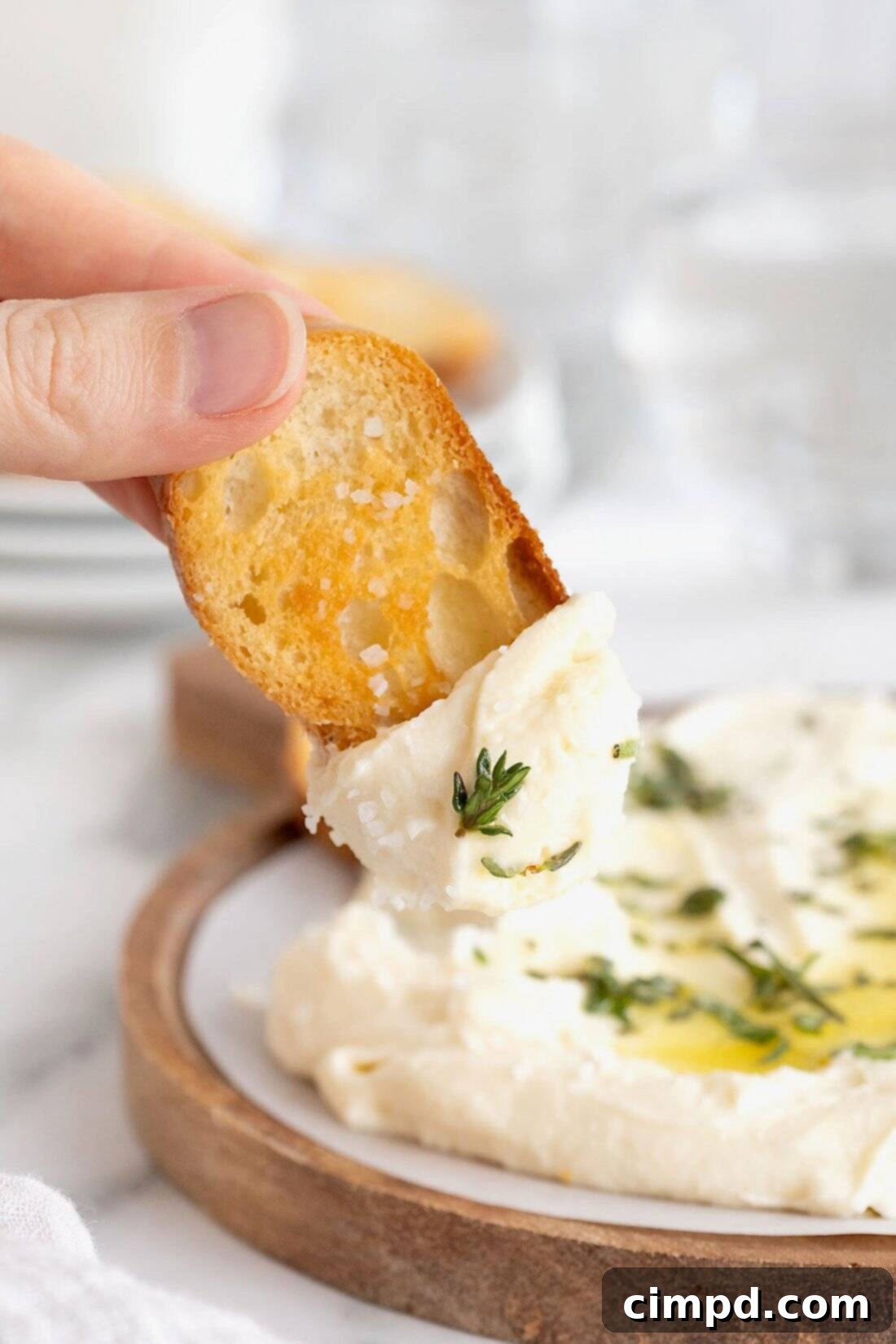 Creamy Whipped Brie 3 A close-up shot of a golden-brown crostini being gently dipped into a generous serving of whipped brie dip, artfully drizzled with olive oil and adorned with finely chopped fresh herbs, highlighting its irresistible texture and savory appeal.