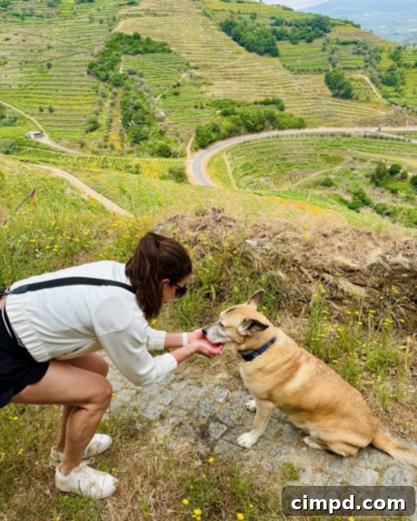 Maegan giving water to Aqua, a nearly 16-year-old dog, during a scenic hike in Douro Valley, Portugal.
