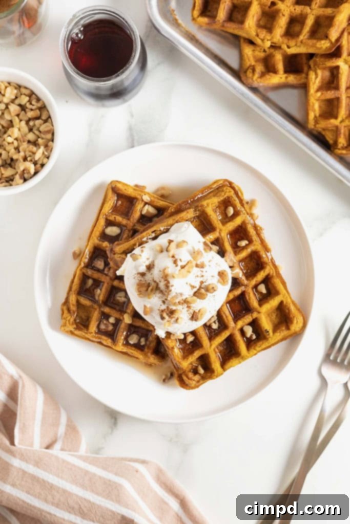 Spiced Pumpkin Waffles 9 Two perfectly cooked pumpkin waffles, richly coated with maple syrup and adorned with a dollop of whipped cream and chopped nuts, beautifully presented on a white plate.