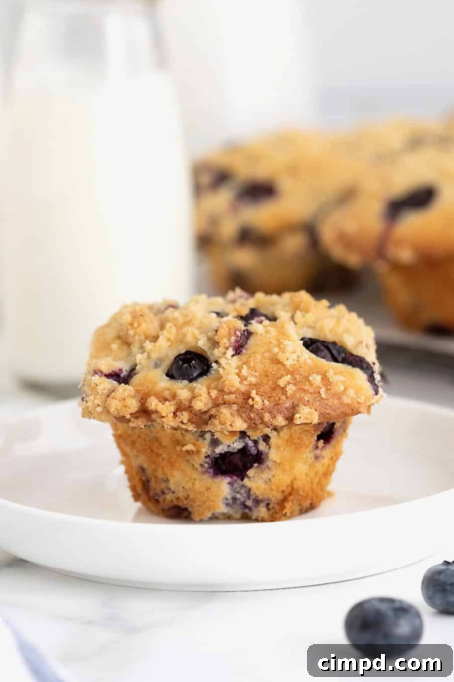A single blueberry streusel muffin on a white rimmed plate, showcasing its fluffy texture and streusel topping.