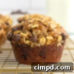 Greek Yogurt Chocolate Chip Oat Muffins 10 Oatmeal Chocolate Chip Greek Yogurt Muffins by The BakerMama