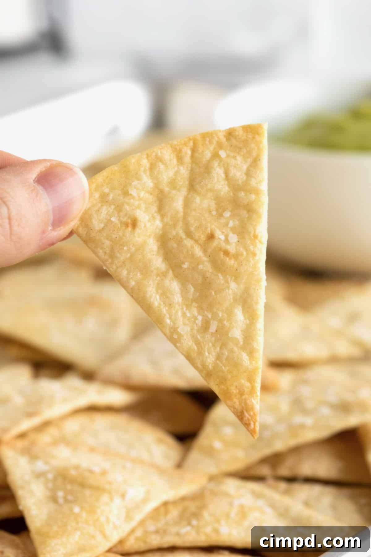 A single perfectly baked flour tortilla chip showcasing its golden-brown crispness.
