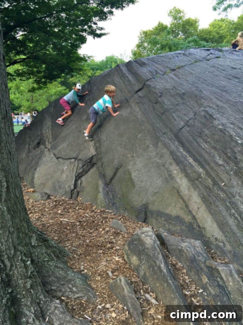 Two boys happily climbing rocks in Central Park