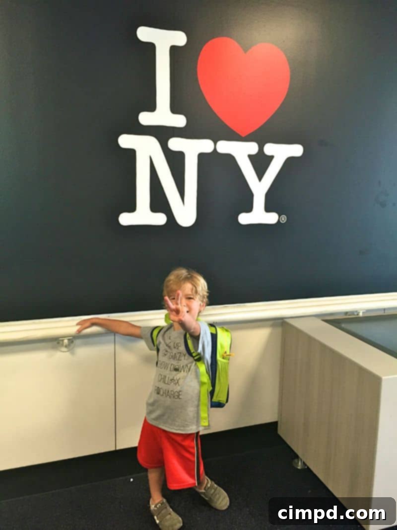 Airplane wing with New York City skyline in the background