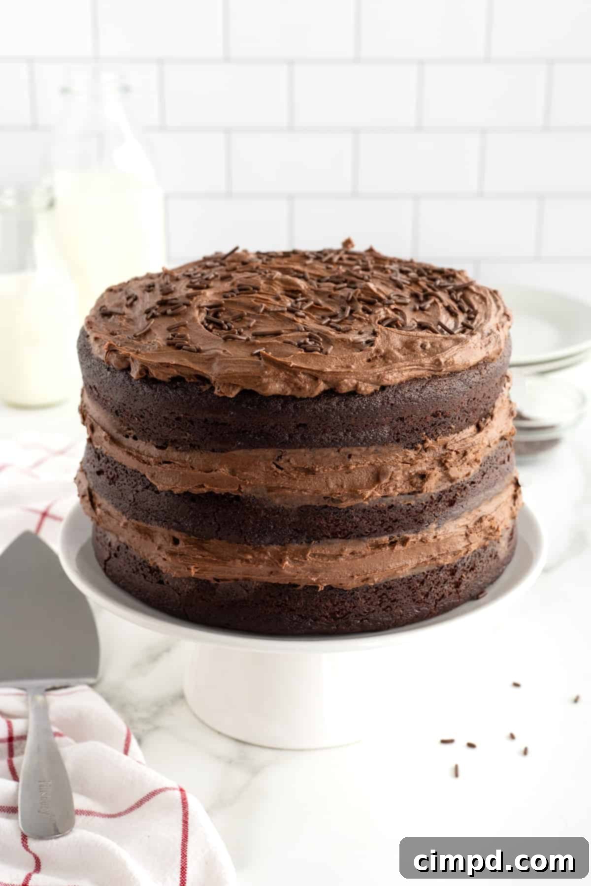 The Greatest Chocolate Cake by The BakerMama