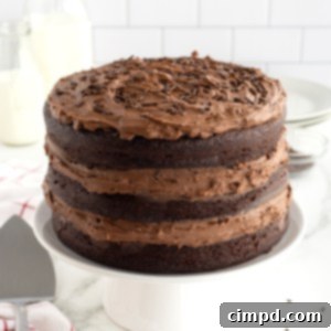 The Greatest Chocolate Cake by The BakerMama