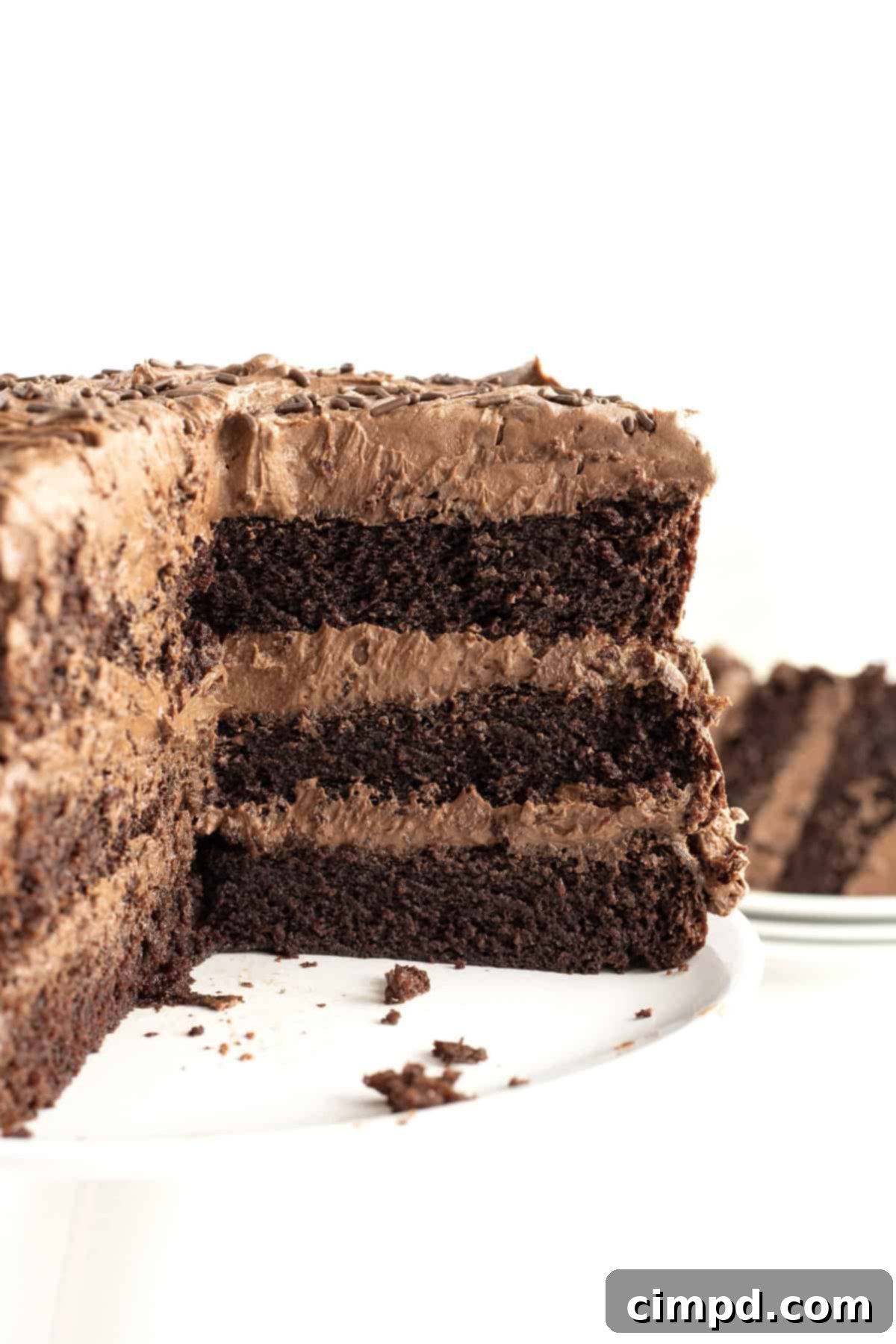 The Greatest Chocolate Cake by The BakerMama