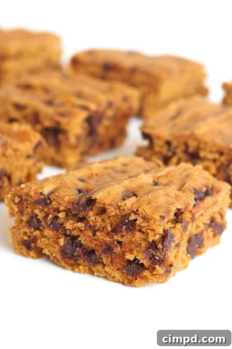 Simple 3-Ingredient Pumpkin Chocolate Chip Snack Cake 2 Deliciously moist Pumpkin Chocolate Chip Snack Cake, freshly baked and ready to enjoy.