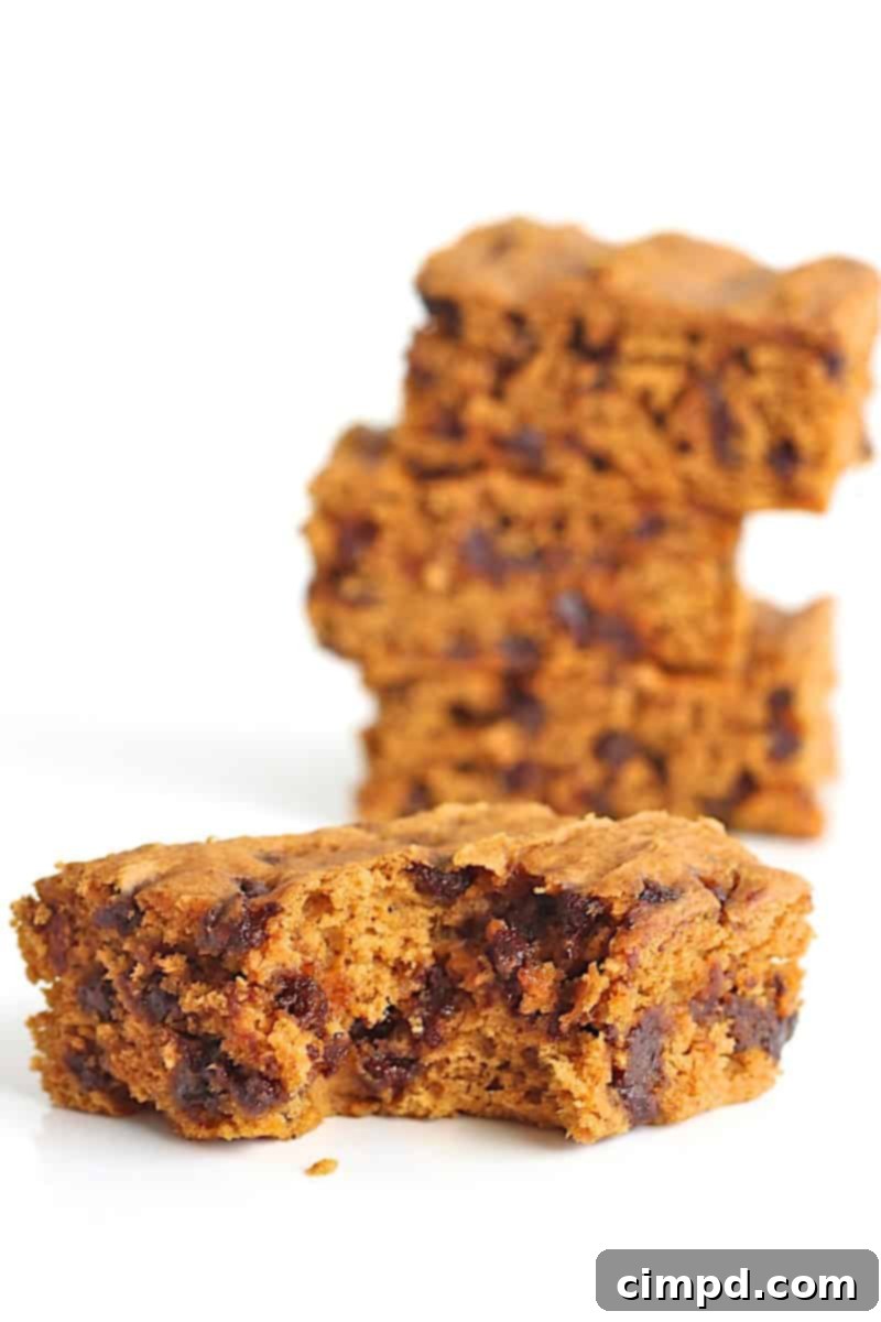 Simple 3-Ingredient Pumpkin Chocolate Chip Snack Cake 3 Close-up of a slice of Pumpkin Chocolate Chip Snack Cake, showing its moist texture and abundant chocolate chips.