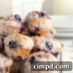 Oven-Baked Blueberry Fritter Poppers 9 Baked Blueberry Fritter Bites