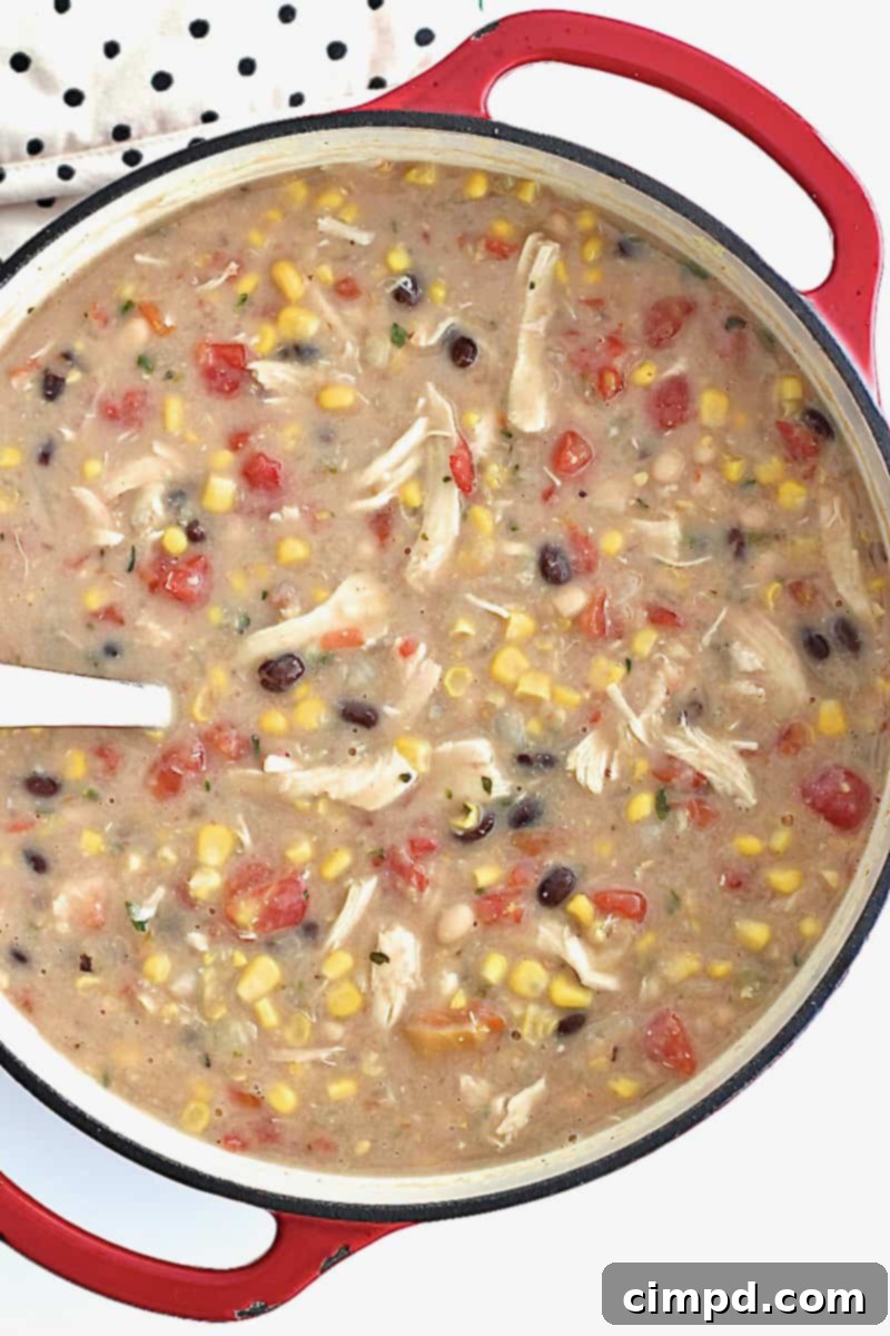 A vibrant red dutch oven filled with homemade Chick-fil-A style Chicken Tortilla Soup, with a silver ladle resting inside, invitingly warm.