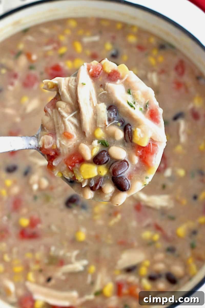 A close-up of a silver ladle filled with steaming chicken tortilla soup, held over a rustic red dutch oven brimming with more soup.