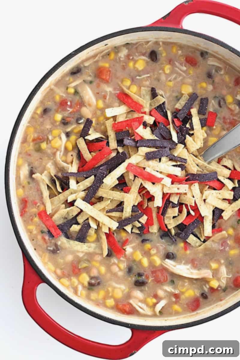 A rustic red dutch oven brimming with the homemade chicken tortilla soup, a silver ladle poised for serving, suggesting warmth and comfort.