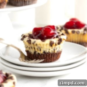 A brownie bite topped with chocolate chip cheesecake and cherries on a stack of white dessert plates.