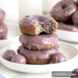 Three blueberry donuts stacked on a white rimmed plate. The top donut has a bite out of it and there are three donut holes on the plate.