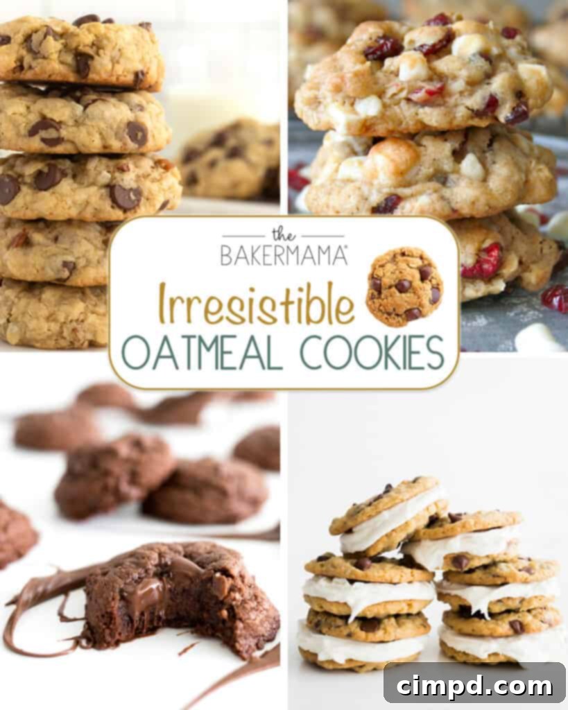 Fudgy Flourless Dark Chocolate Raspberry Oat Cookies 10 Irresistible Oatmeal Cookie Recipes by The BakerMama