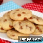 Irresistible Cinnamon Chip Snickerdoodles 2 Cinnamon Chip Snickerdoodles