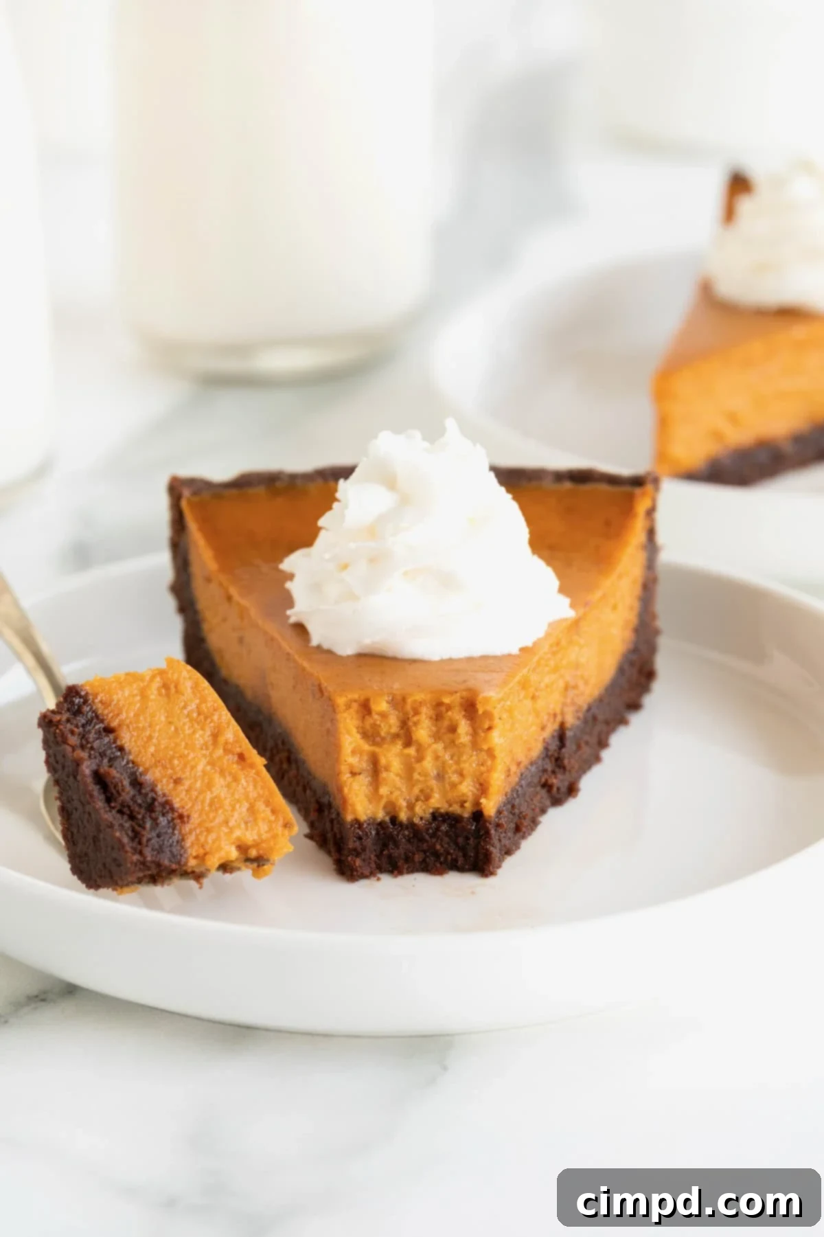 A pristine slice of Dark Chocolate Pumpkin Tart presented on a white rimmed plate. The rich, dark chocolate crust cradles a vibrant, creamy pumpkin filling. It's elegantly crowned with a generous dollop of fluffy whipped cream, suggesting a luxurious and delightful dessert experience.