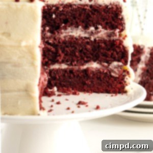 Scarlet Velvet Bliss 11 Red Velvet Cake by The BakerMama