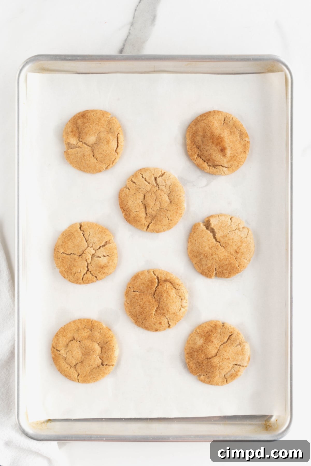 Eight freshly baked gingerdoodle cookies, golden brown and perfectly cracked on top, cooling on a parchment-lined aluminum baking sheet.