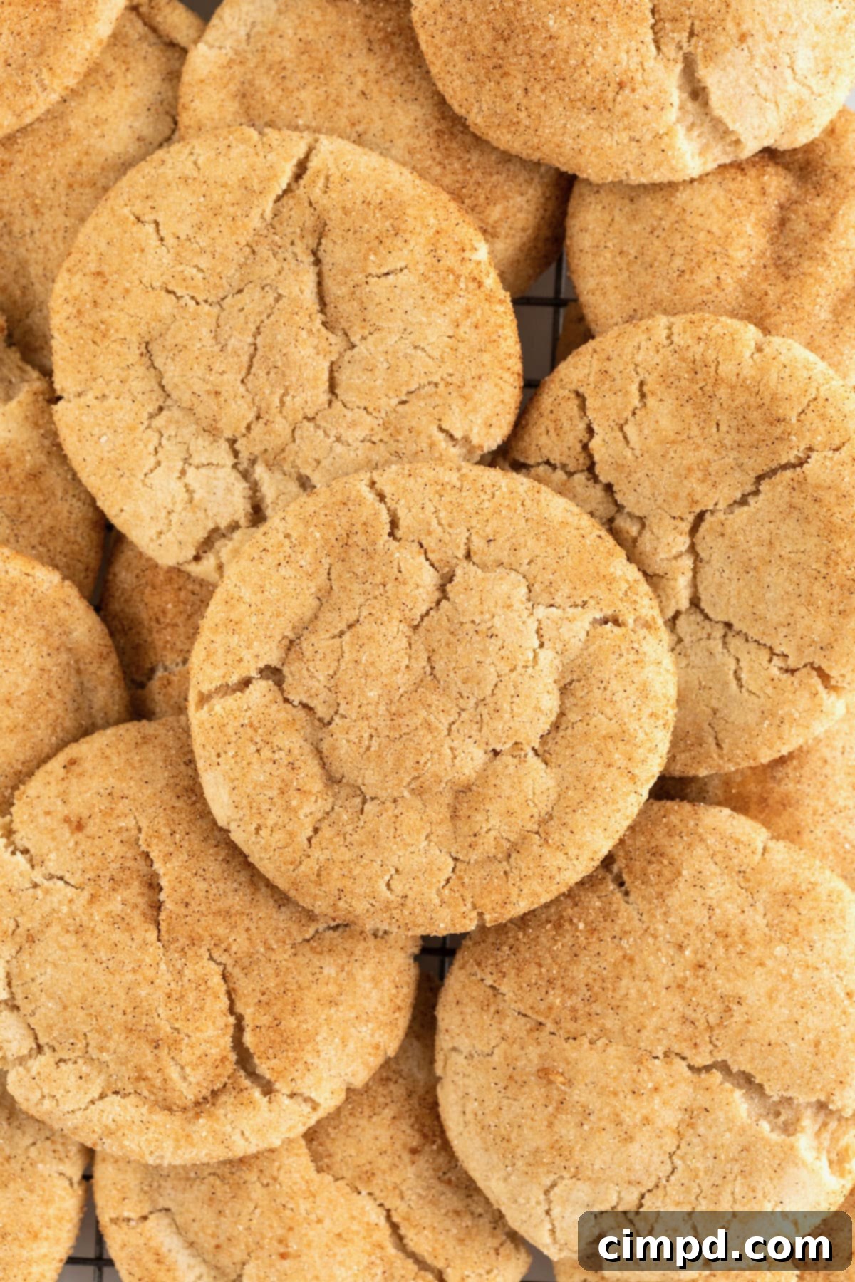A tempting pile of golden-brown gingerdoodle cookies, dusted with spice sugar, ready to be savored.