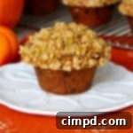 Gourmet Pumpkin Pistachio Chocolate Chip Muffins 2 Pumpkin Pistachio Chocolate Chip Muffins