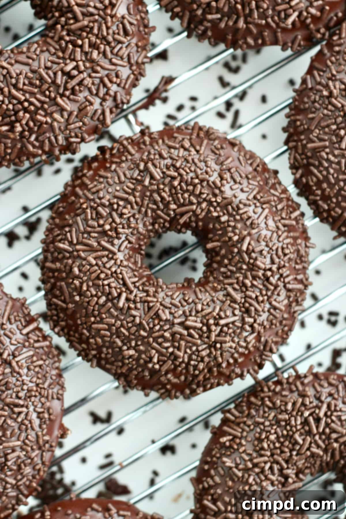 Decadent Chocolate Trinity Donuts 5 A close-up of a single Triple Chocolate Donut, highlighting its texture and glaze