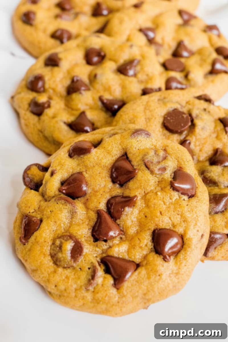 Delicious Pumpkin Chocolate Chip Cookies fresh from the oven, with a warm, inviting glow