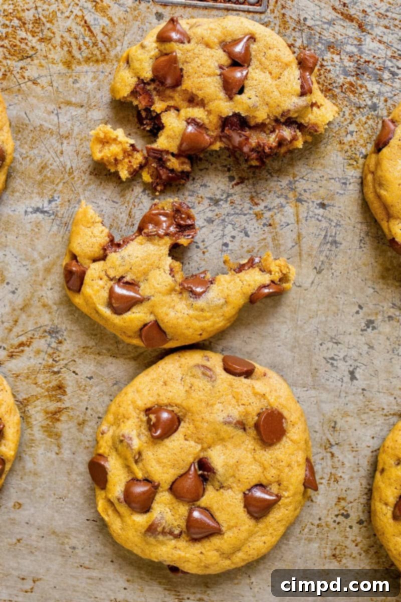 All the dry and wet ingredients for Pumpkin Chocolate Chip Cookies laid out on a baking surface