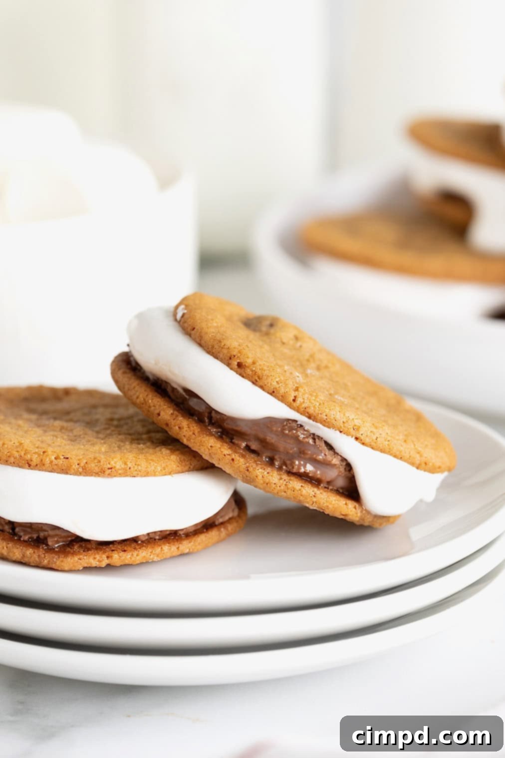 Two s'mores ice cream sandwiches on a small white plate.