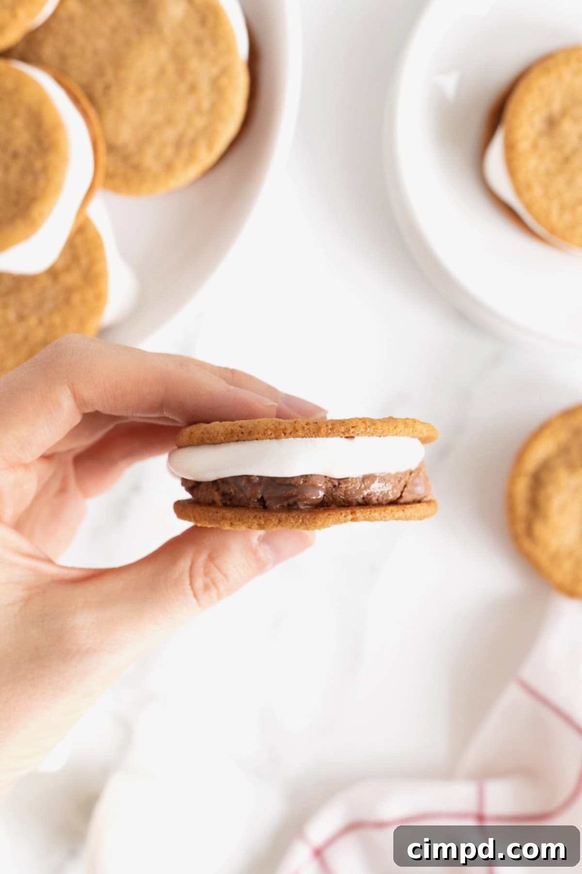 A hand holding a s'mores ice cream sandwich.