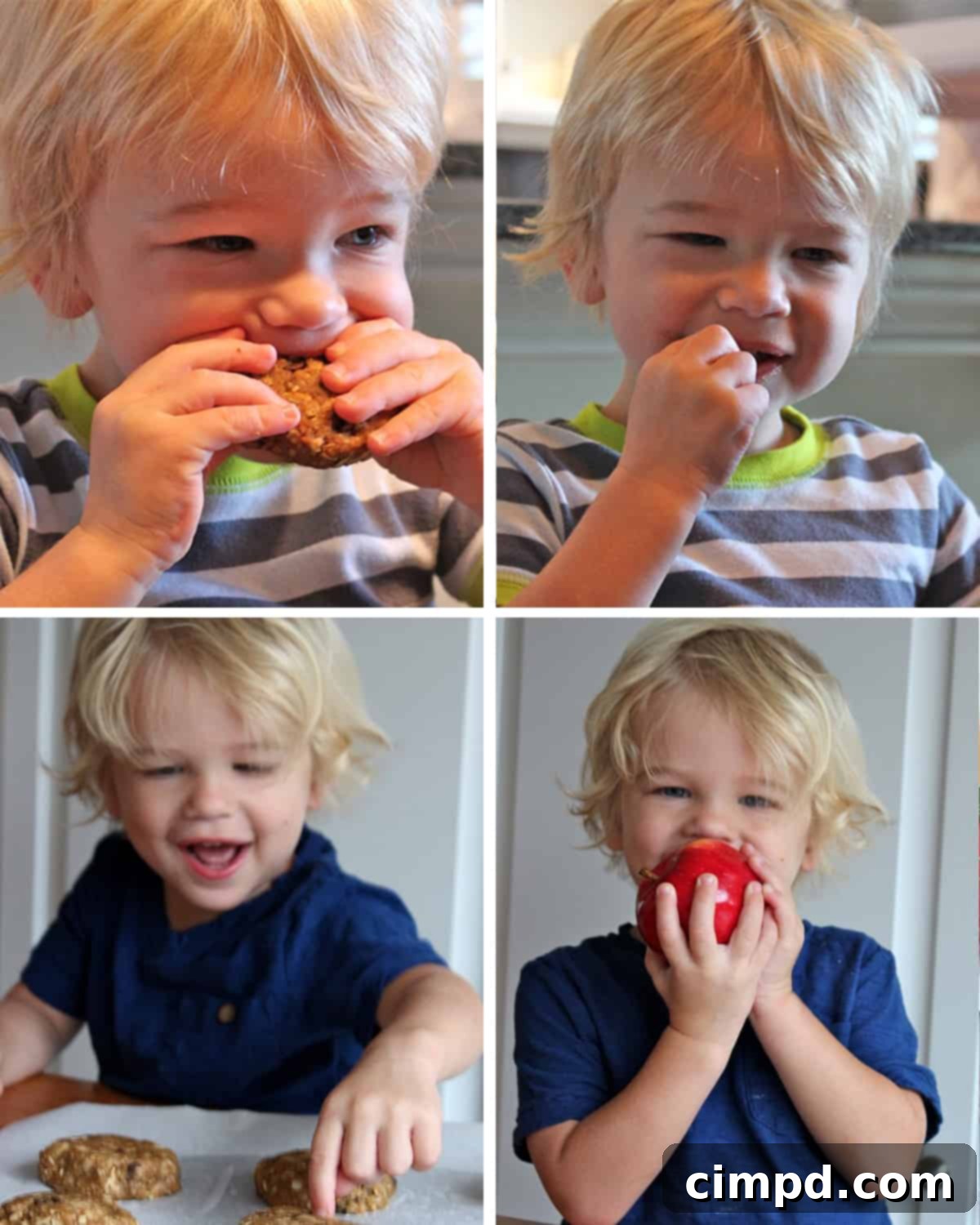 A small child with white blonde hair eating breakfast cookies.