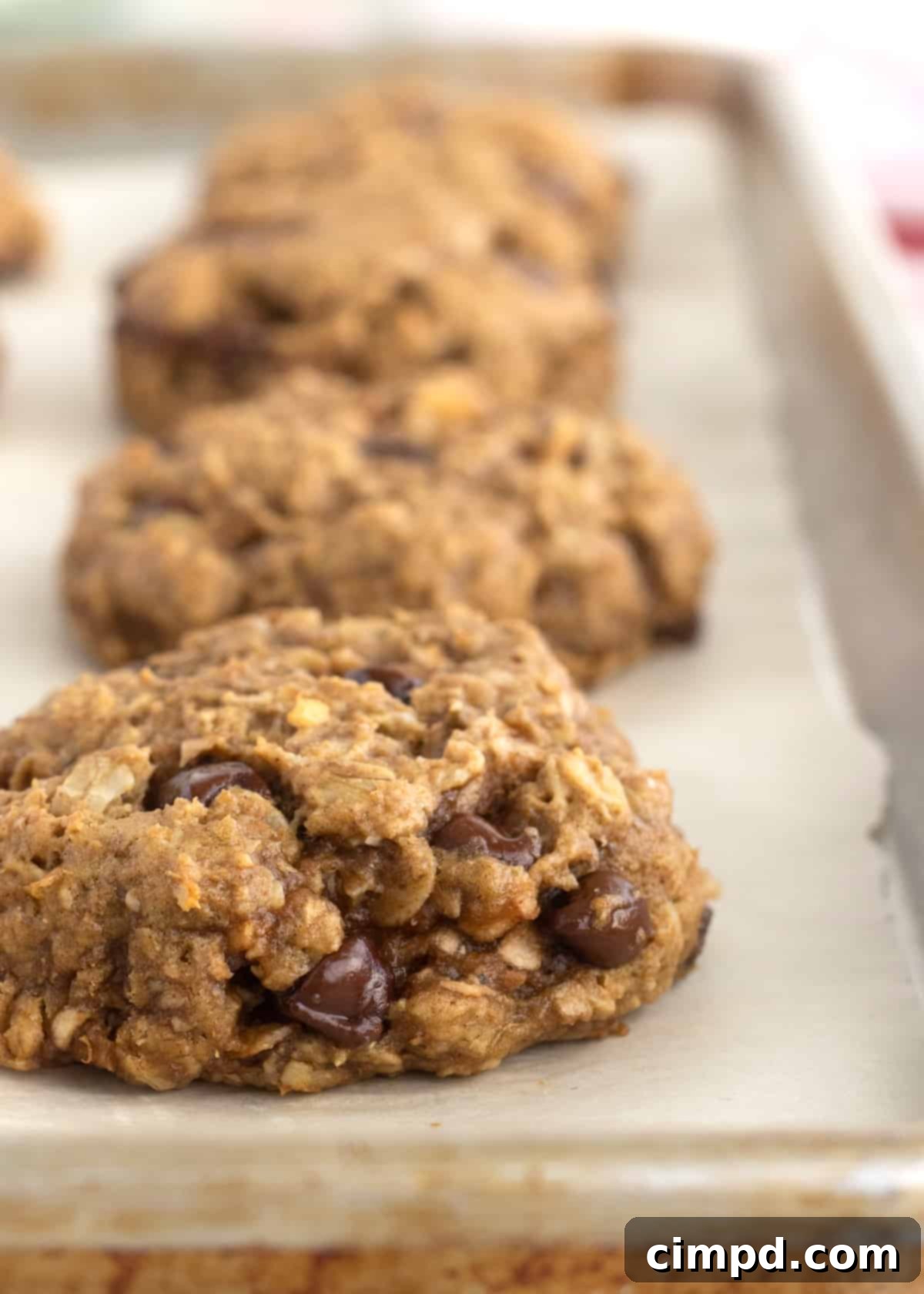 Three breakfast cookies with chocolate chips on a parchment lined aluminum baking sheet.
