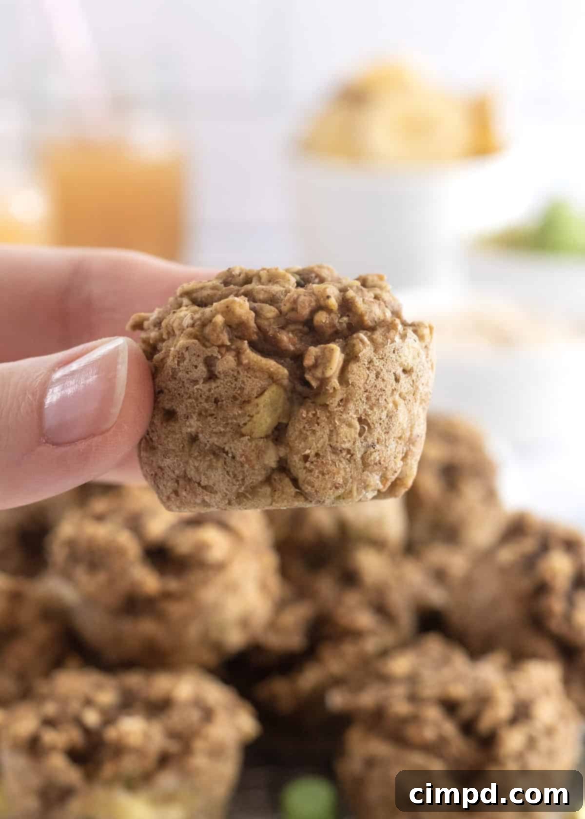 Healthy Homemade Baby Food Muffins for Toddlers and Infants