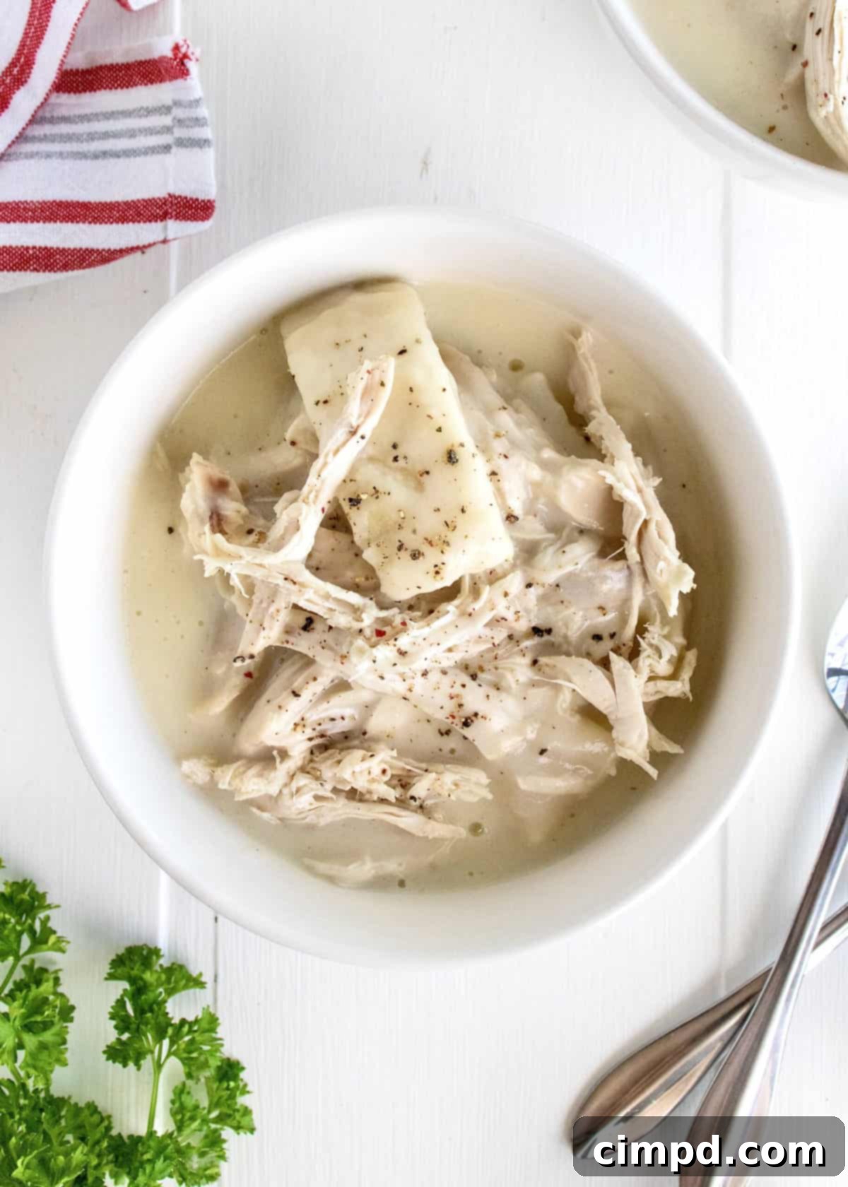 Homestyle Chicken and Dumplings by The BakerMama
