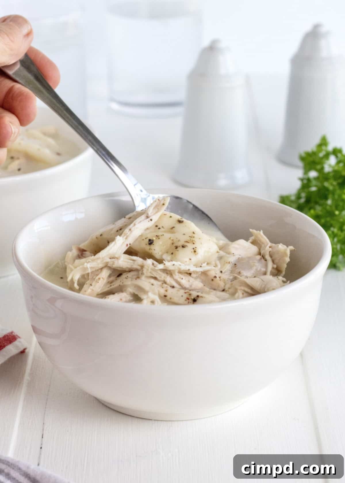 Homestyle Chicken and Dumplings by The BakerMama