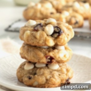White Chocolate Chip Macadamia Nut Oatmeal Cranberry Cookies 10 Oatmeal Cranberry White Chocolate Chip Macadamia Nut Cookies