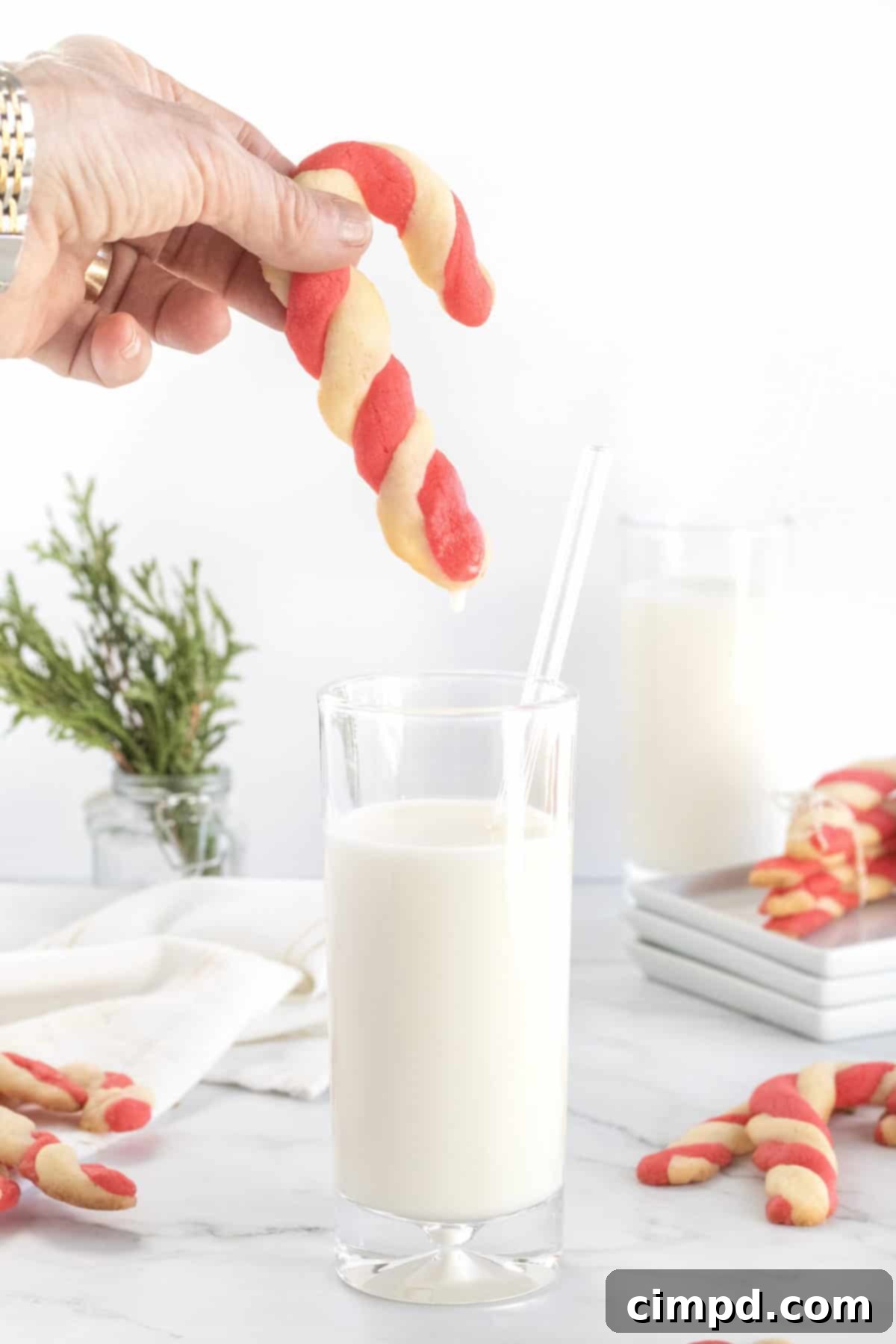 Close-up of freshly baked Candy Cane Cookies with a hint of peppermint