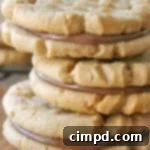 Peanut Butter Cookie Sandwiches