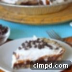 Chocolate Chip Icebox Pie